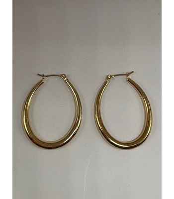 14 Karat Gold Dipped Precious Earrings